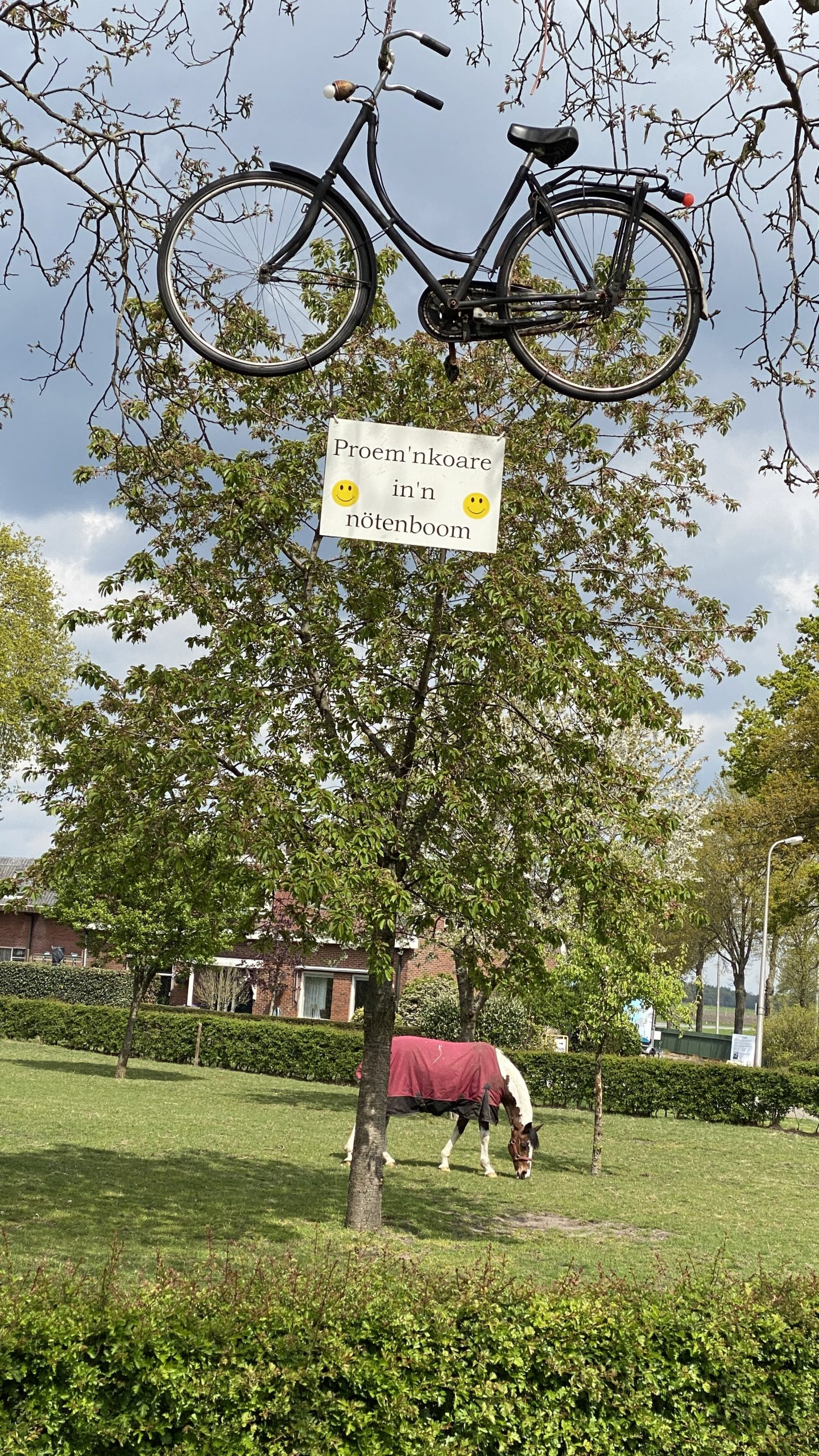Mehr über den Artikel erfahren Tag 3 – von Nordhorn nach Vorden (NL)