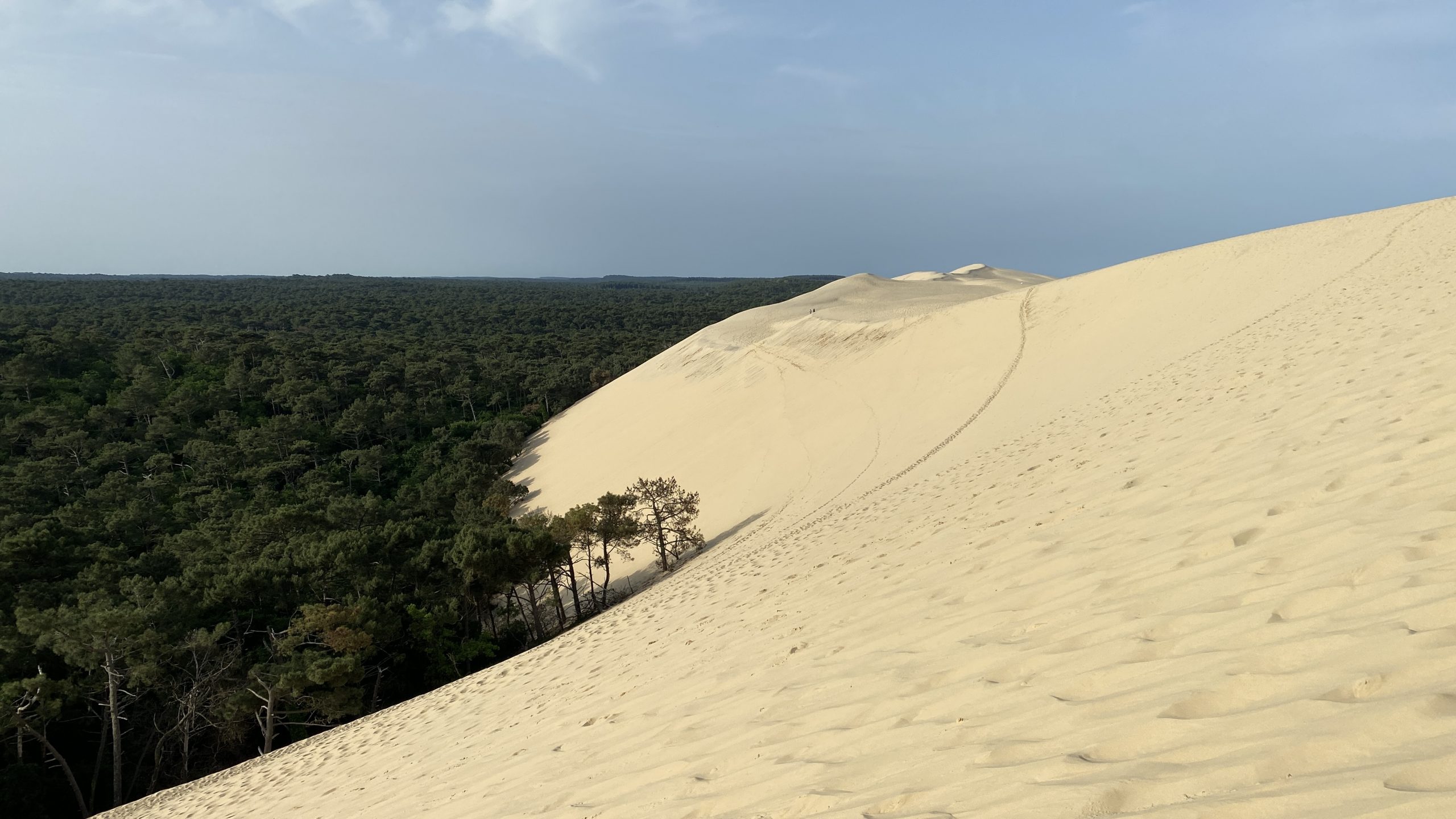 Mehr über den Artikel erfahren Tag 23 – von Arcachon (FR) nach Mimizan Plage (FR)