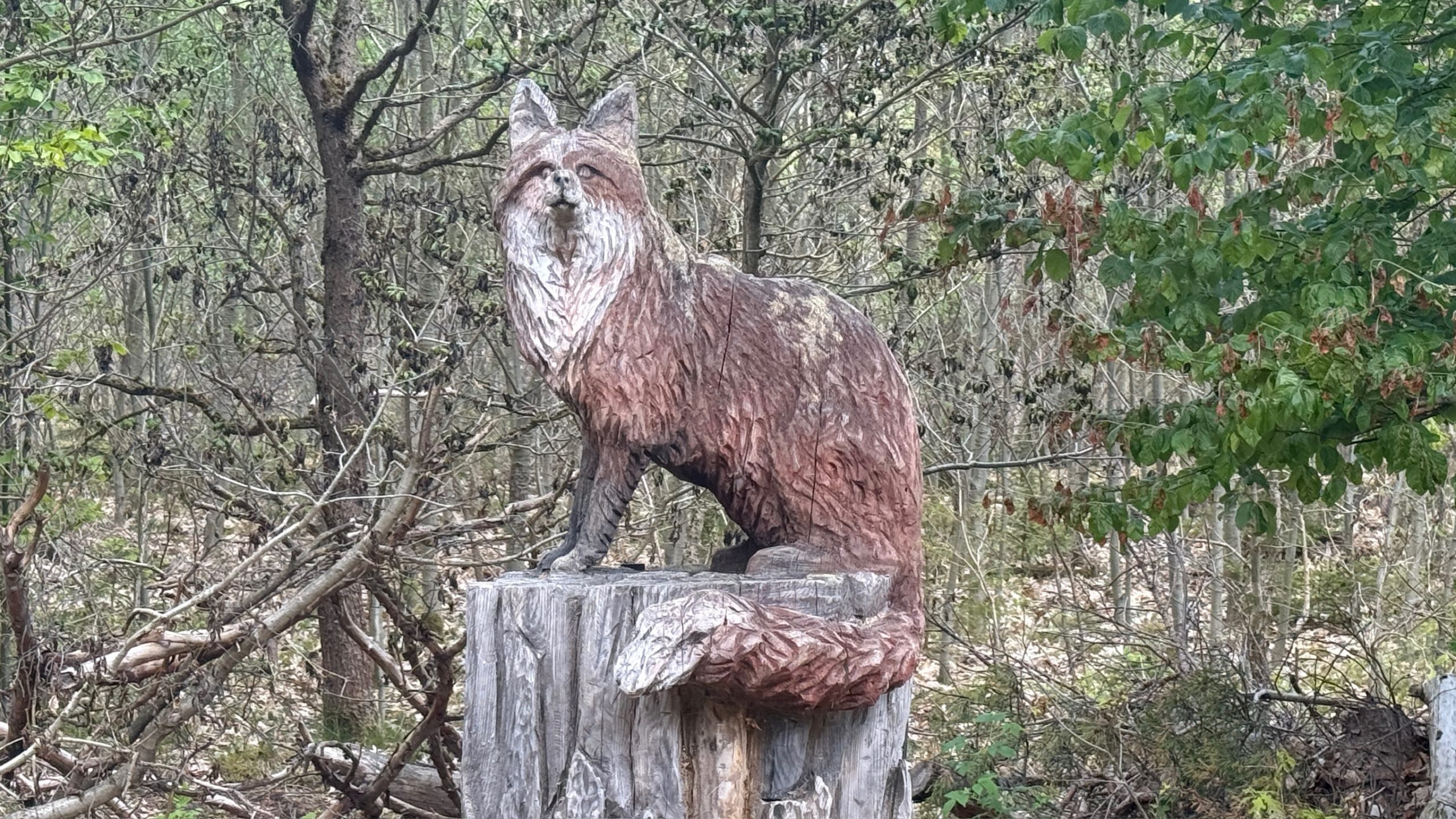 Mehr über den Artikel erfahren Tour 25 Tag 8 – von Güstrow nach Waren (Müritz)