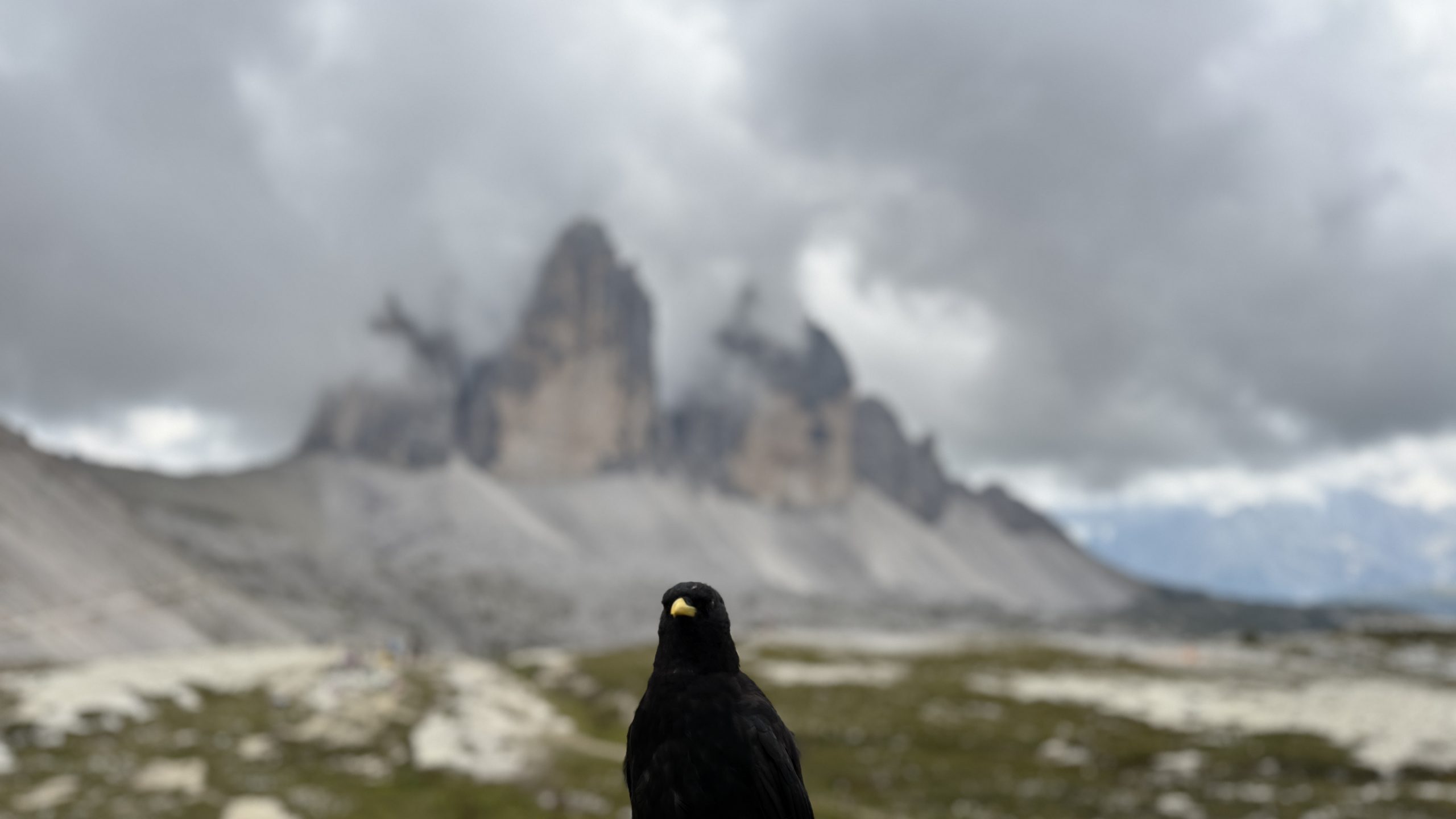 Mehr über den Artikel erfahren Alpenüberquerung 2025 Tag 7 von Innervillgraten nach Transfer ins Fischleintal zur Drei Schusterhütte.