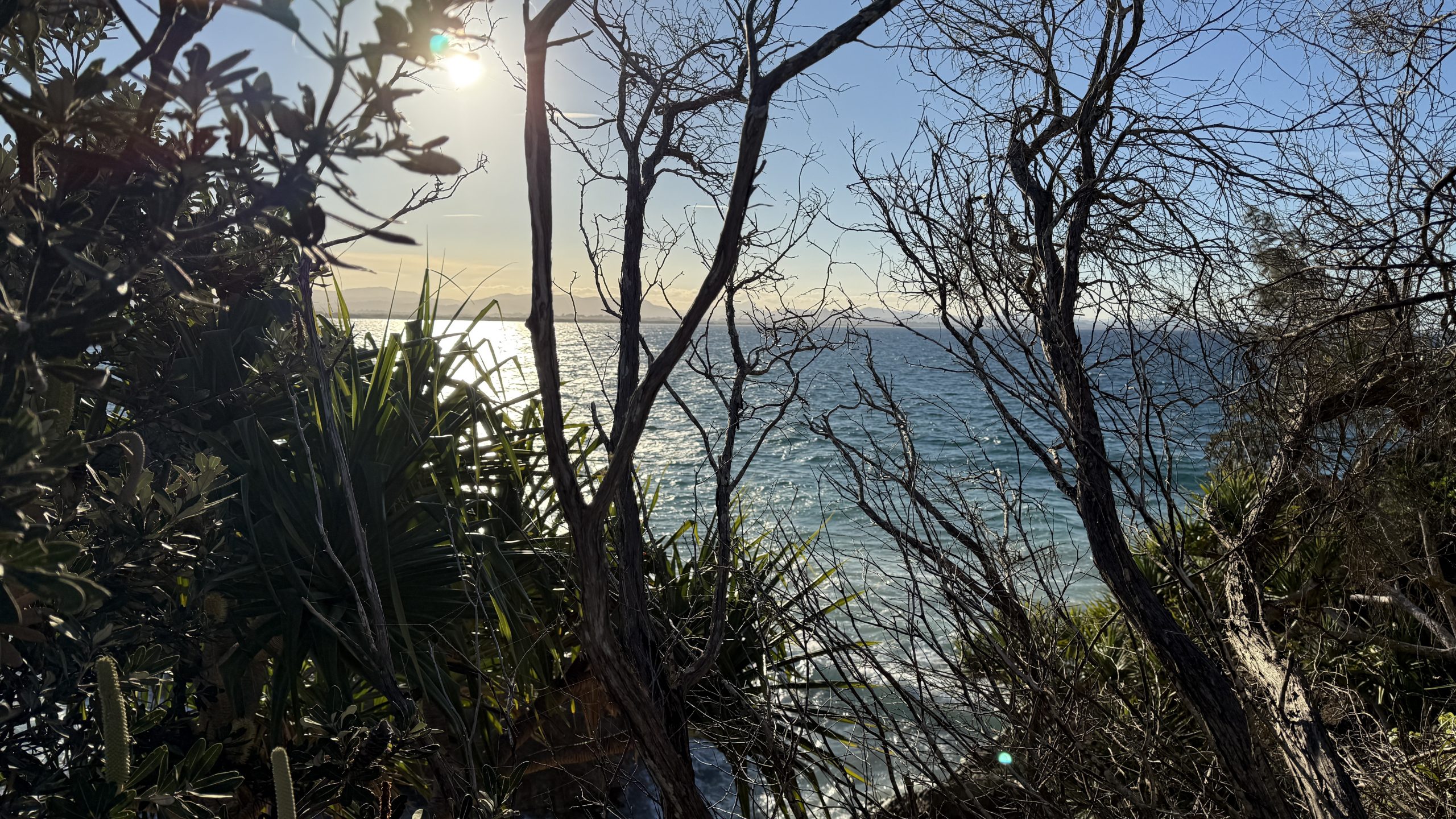 Mehr über den Artikel erfahren Australien 2026 – Tag 7 Fahrt nach Byron Bay